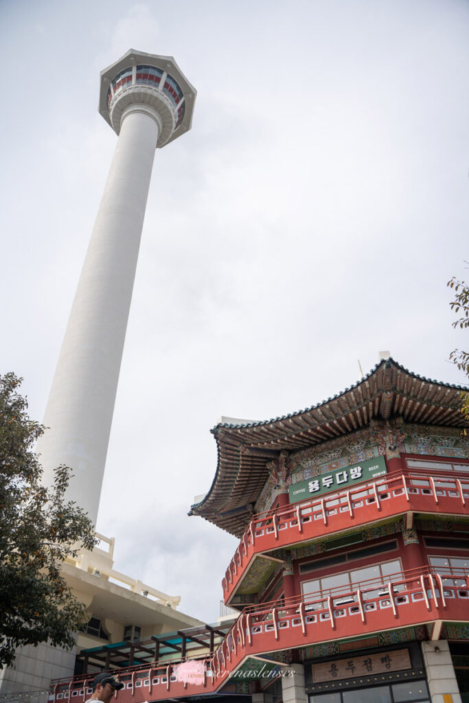 Busan-Tower-Park