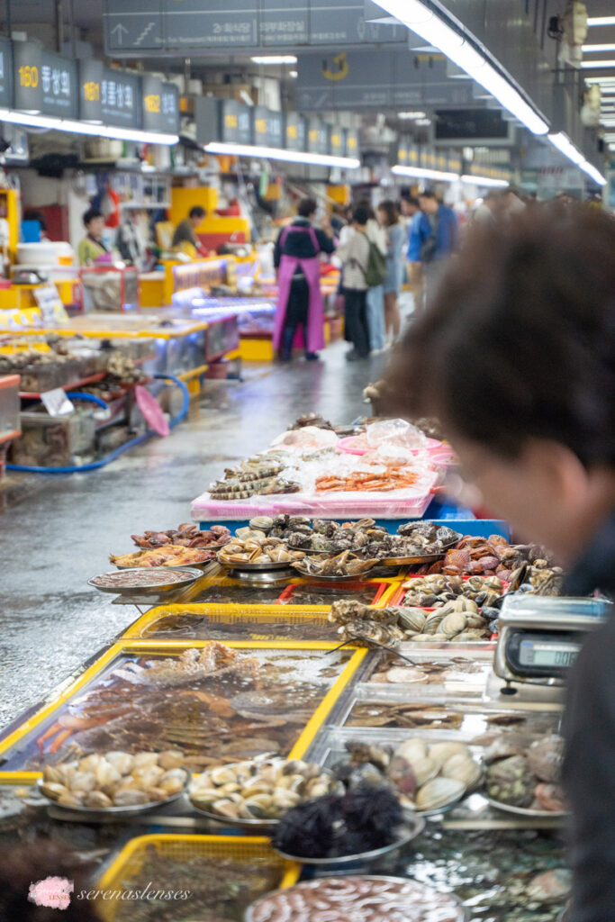 Busan-itinerary: Jagalchi Market