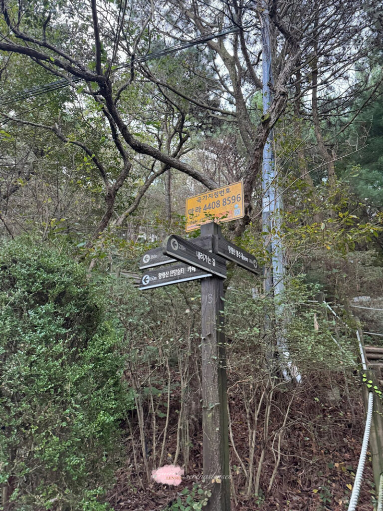 hiking to Hwangnyeongsan-Mountain-observation-deck