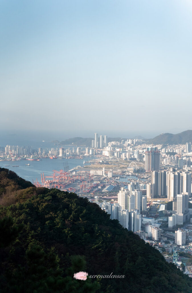 Hwangnyeongsan-Mountain-view-of-port