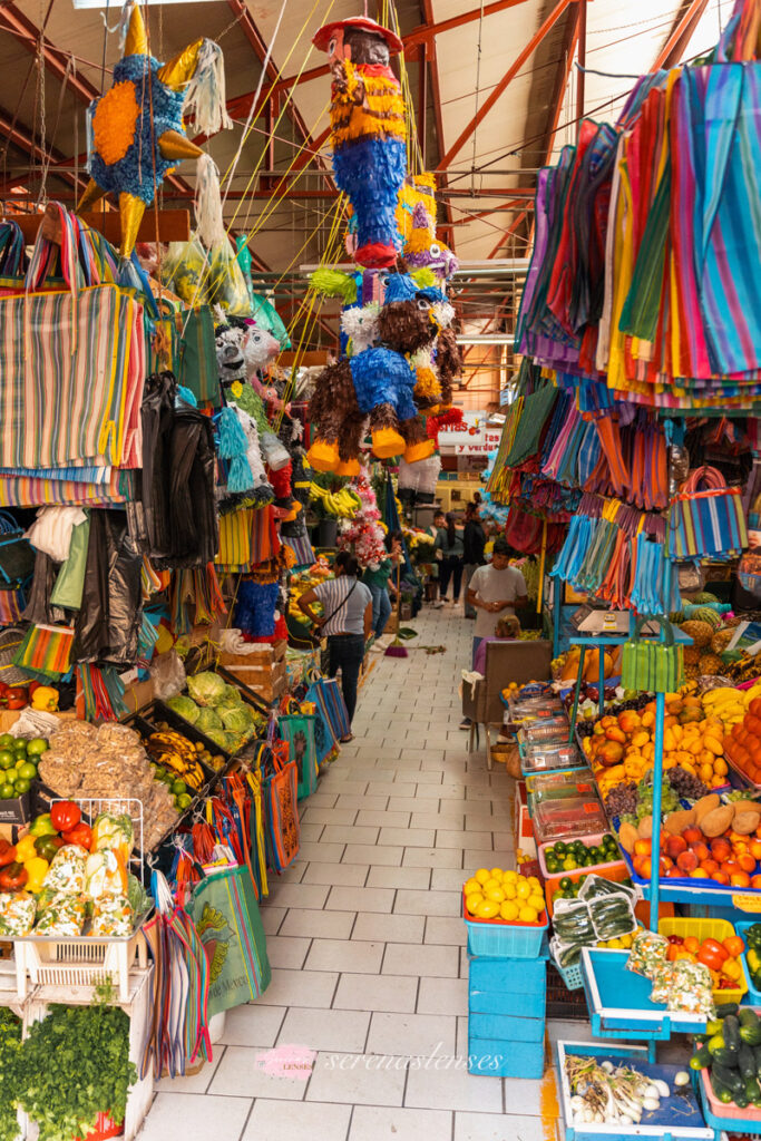 Ignacio-Ramírez-Market-san-miguel