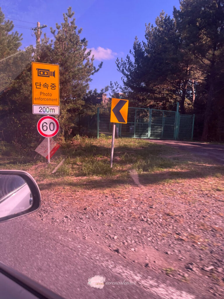 Jeju-speed-limit-sign