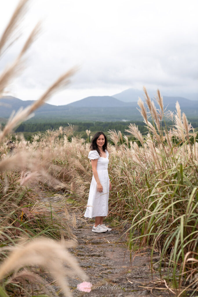 Jeju-Sangumburi-Crater-silver-grass