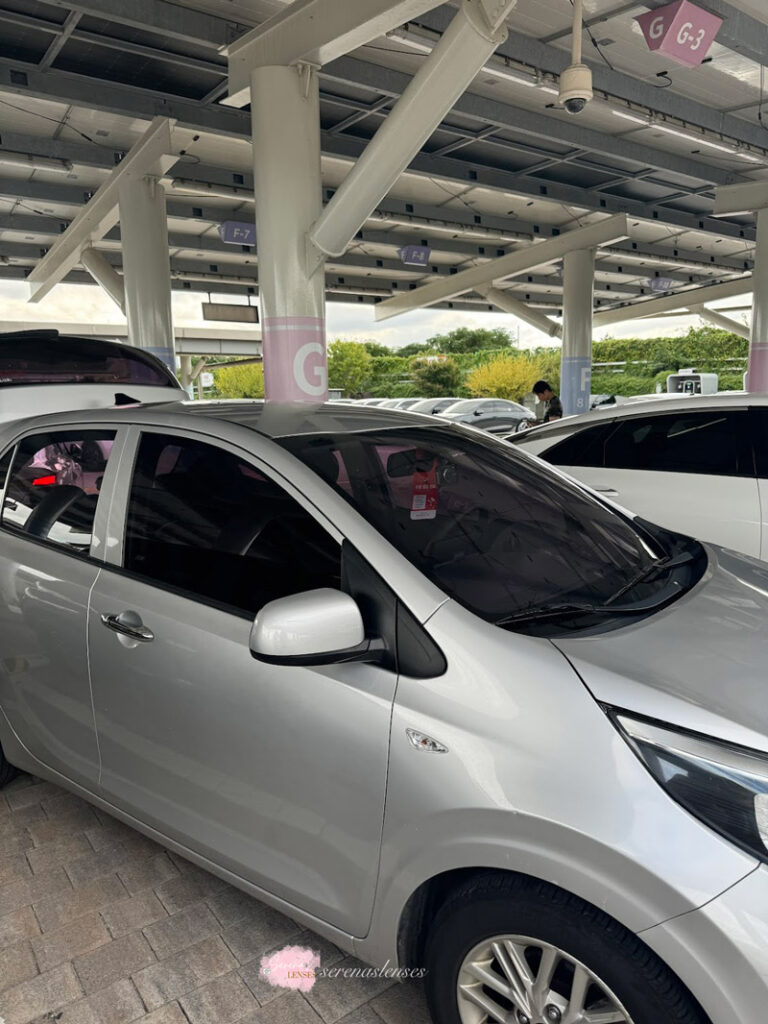 complete guide to renting and driving a car in Jeju