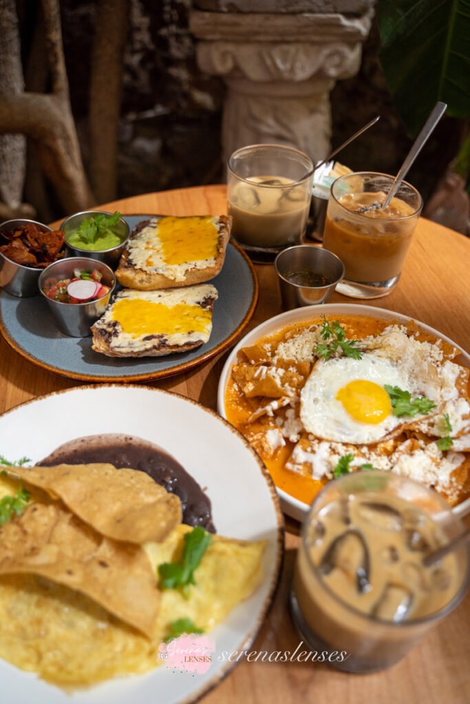 San Miguel de Allende - Levanda Cafe