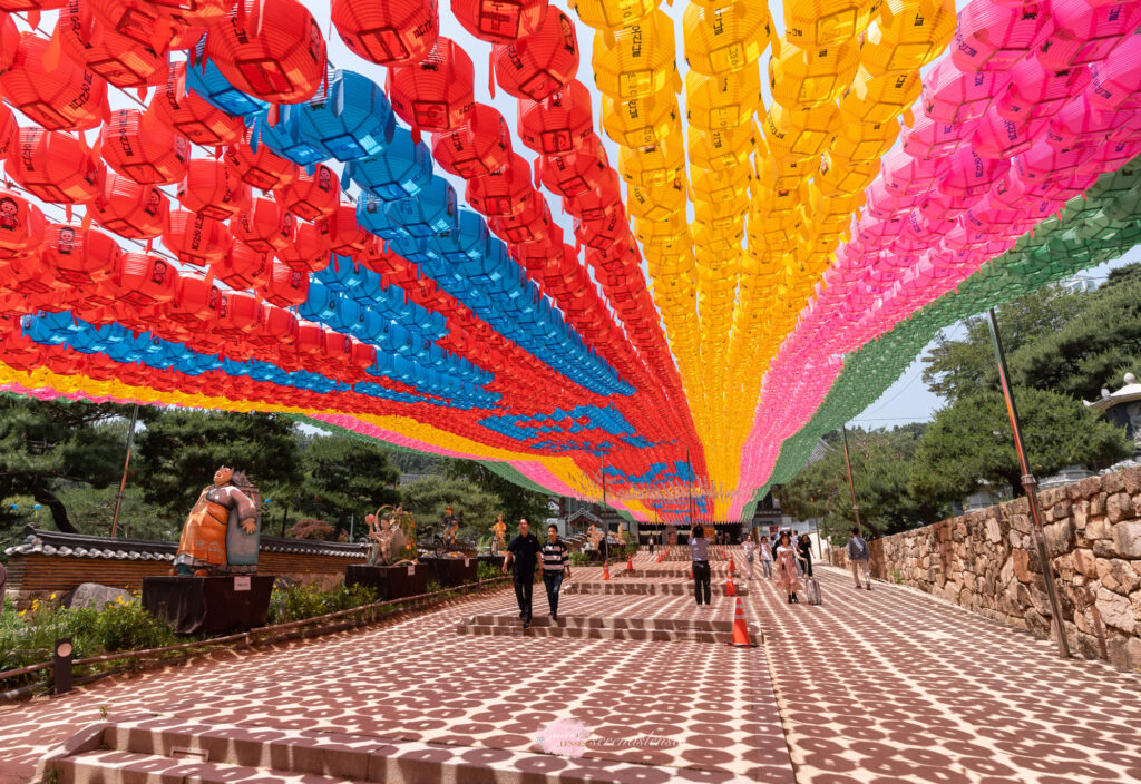 Seoul-Bongeunsa-Temple-lanterns