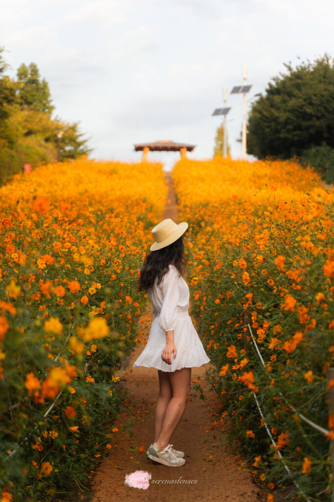 Seoul-olympic-park-flower-bloom