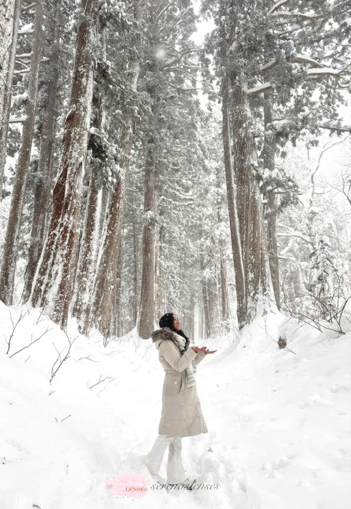 Togakushi-Jinja-Cedar-Trees-snow