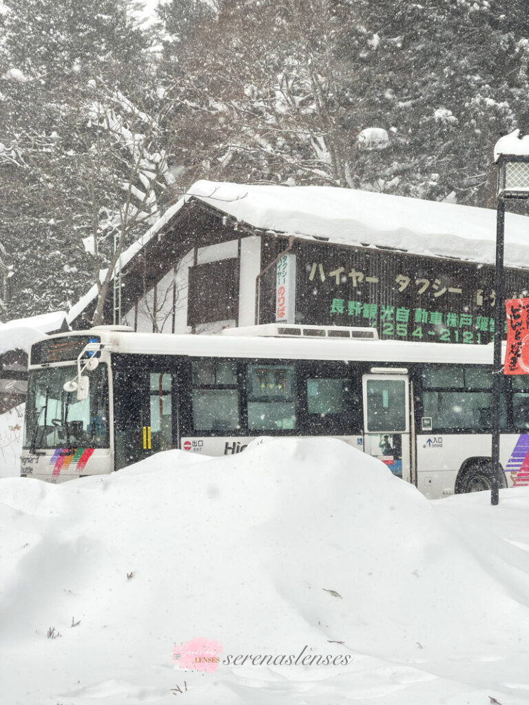 Togakushi-Jinja-in-the-winter-tourist-information