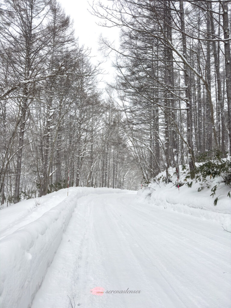 Togakushi-Jinja-in-the-winter-walking-from-Chusha-to-Okusha