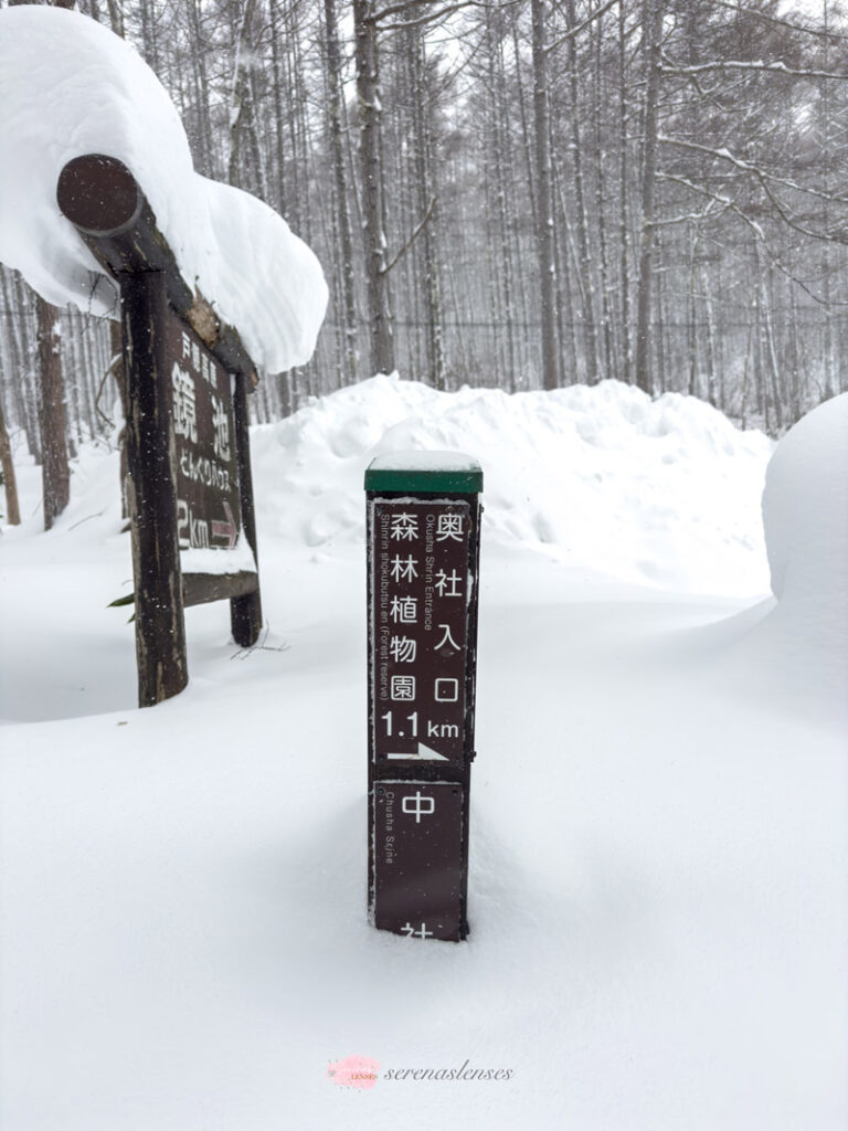 Togakushi-Jinja-in-the-winter