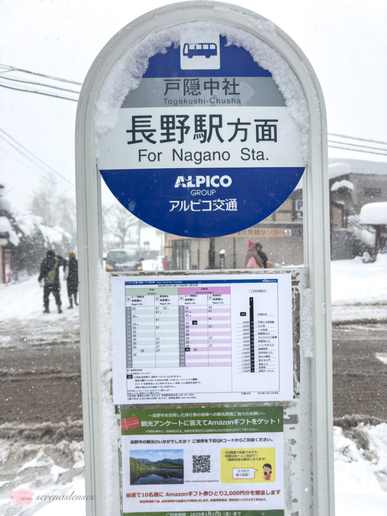 Togakushi-Jinja-in-the-winter