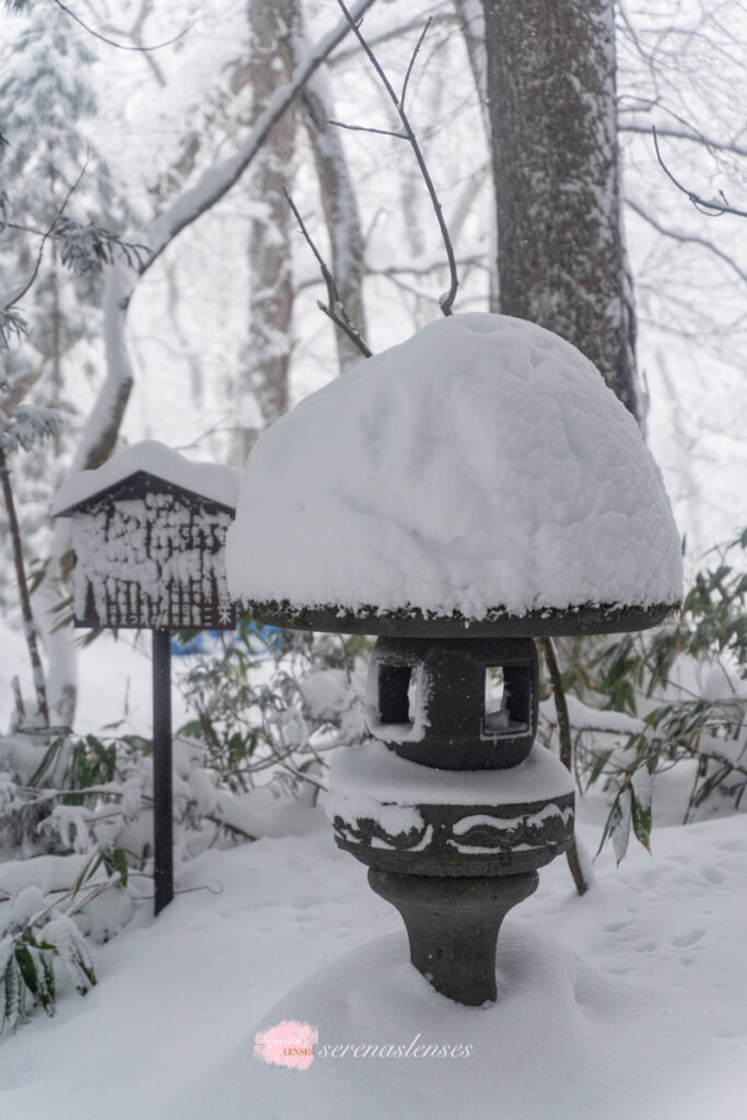 Visiting-Togakushi-Jinja-in-the-winter-17