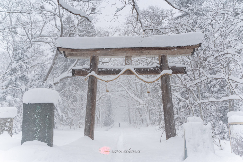 Visiting-Togakushi-Jinja-in-the-winter: Okusha Torii Gate