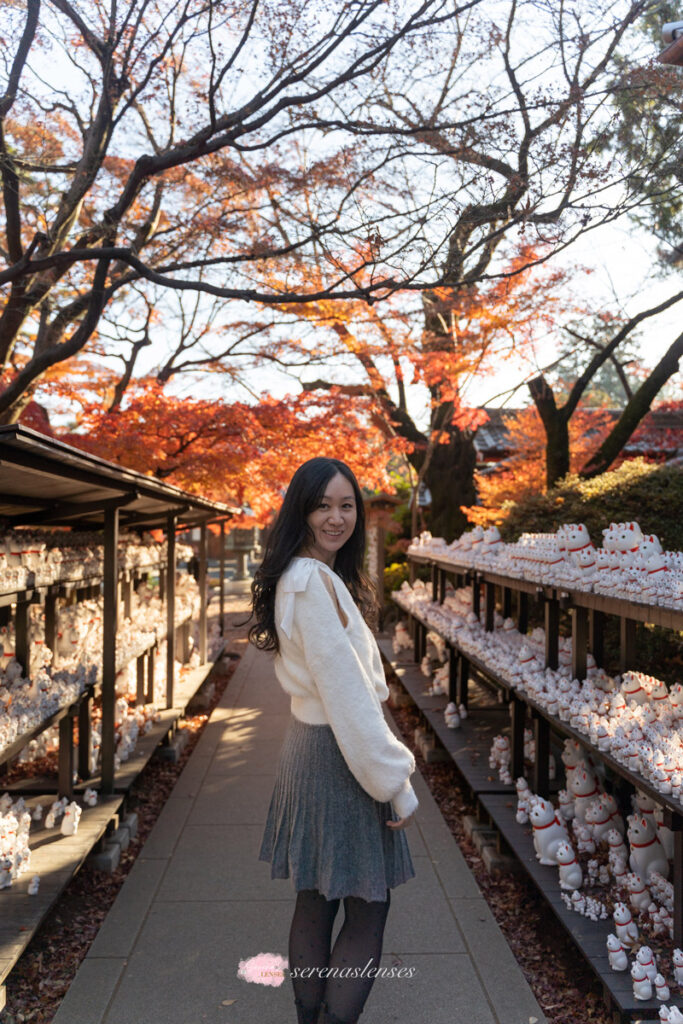 How to ride the cat train to Gotokuji-Temple