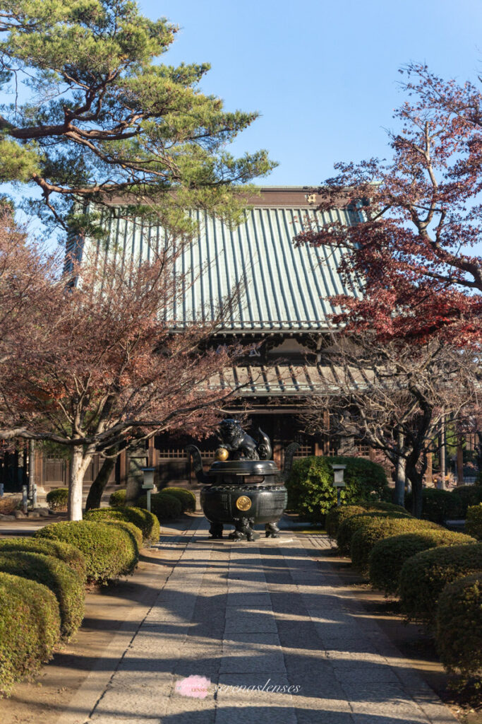 Gotokuji-Temple-2