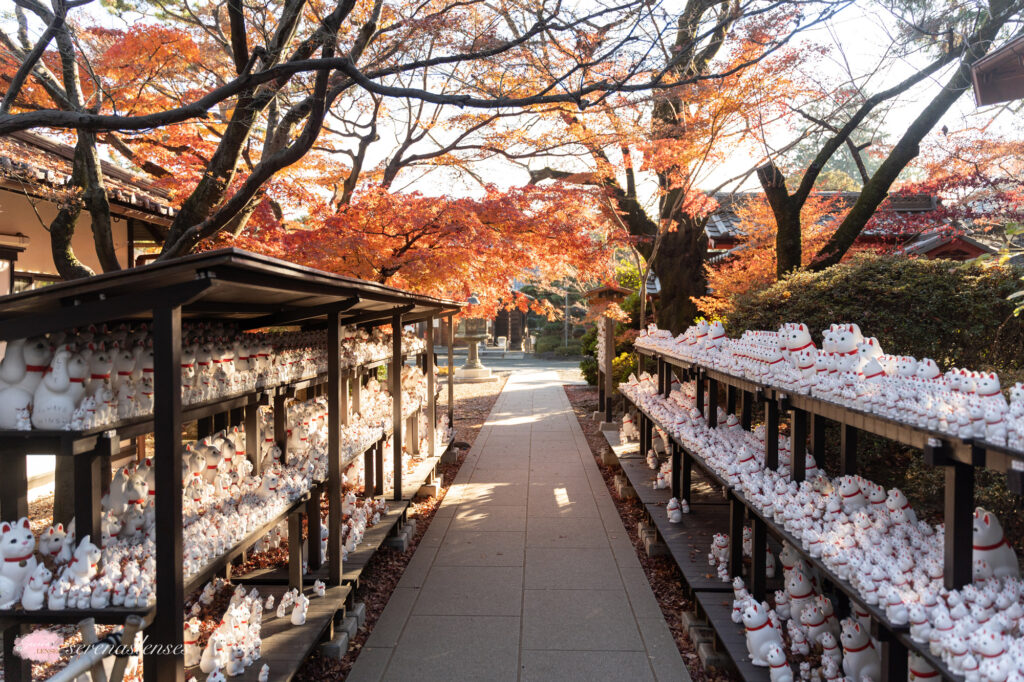 How to take the cat train to Gotokuji-Temple