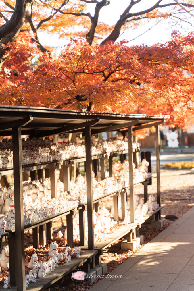 How to visit Gotokuji-Temple