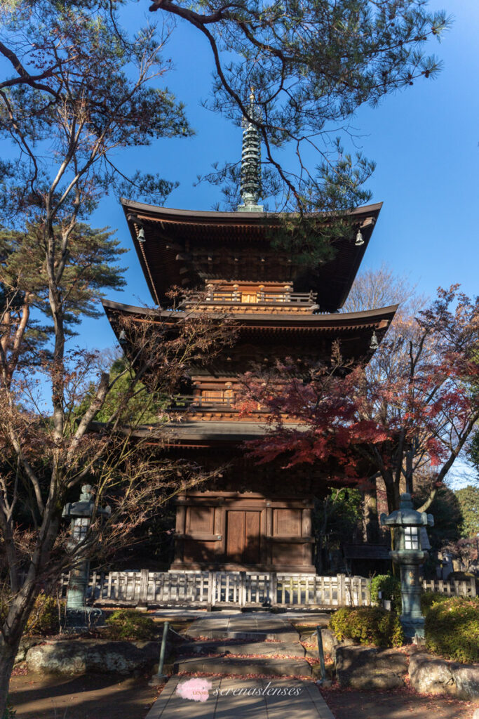 Gotokuji-Temple-3