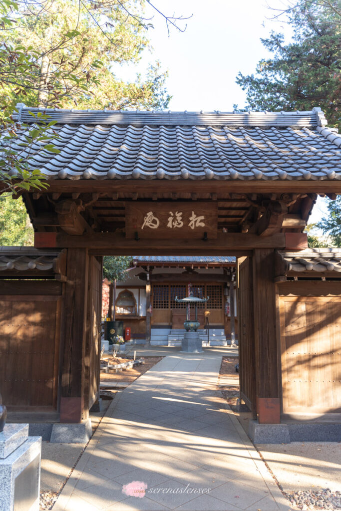 Gotokuji-Temple-4