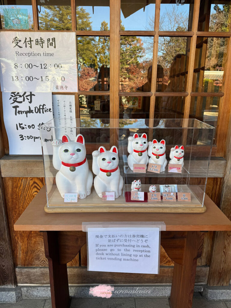 Gotokuji-Temple-cats