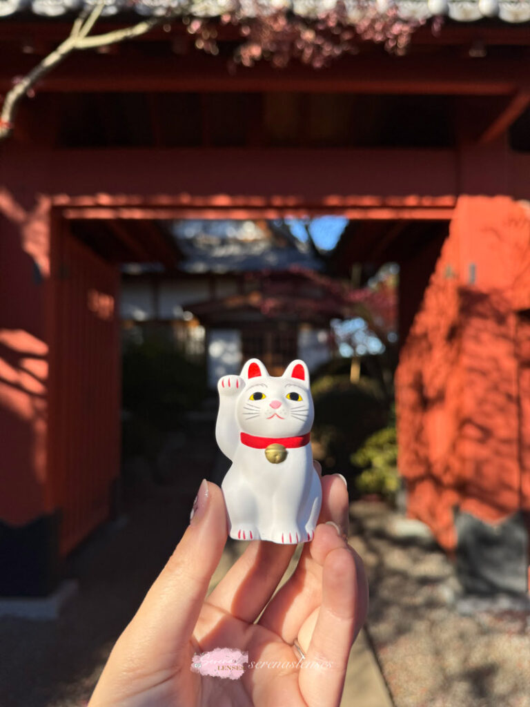 Gotokuji-temple-lucky-cat-souvenir