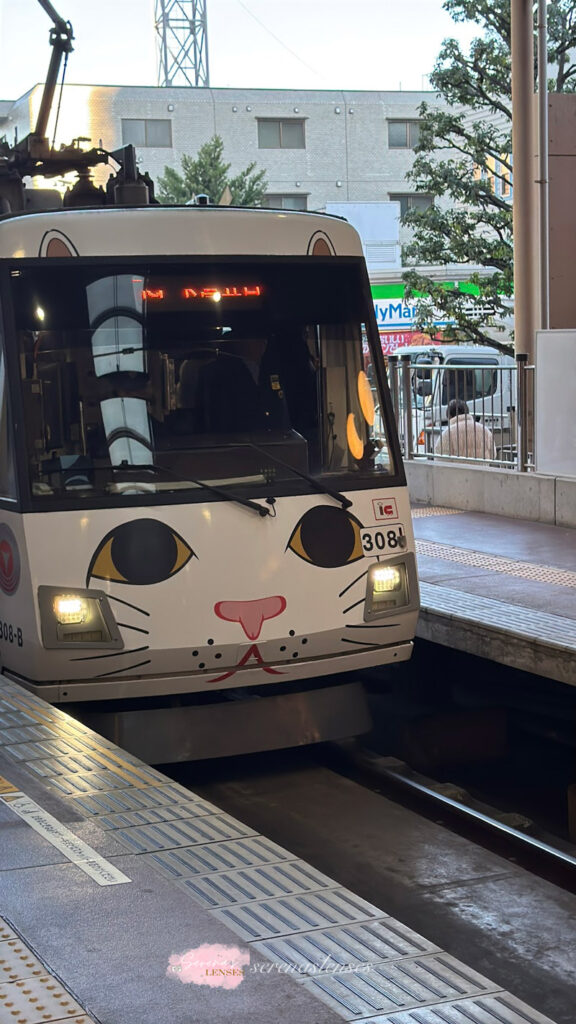 Lucky-cat-trains