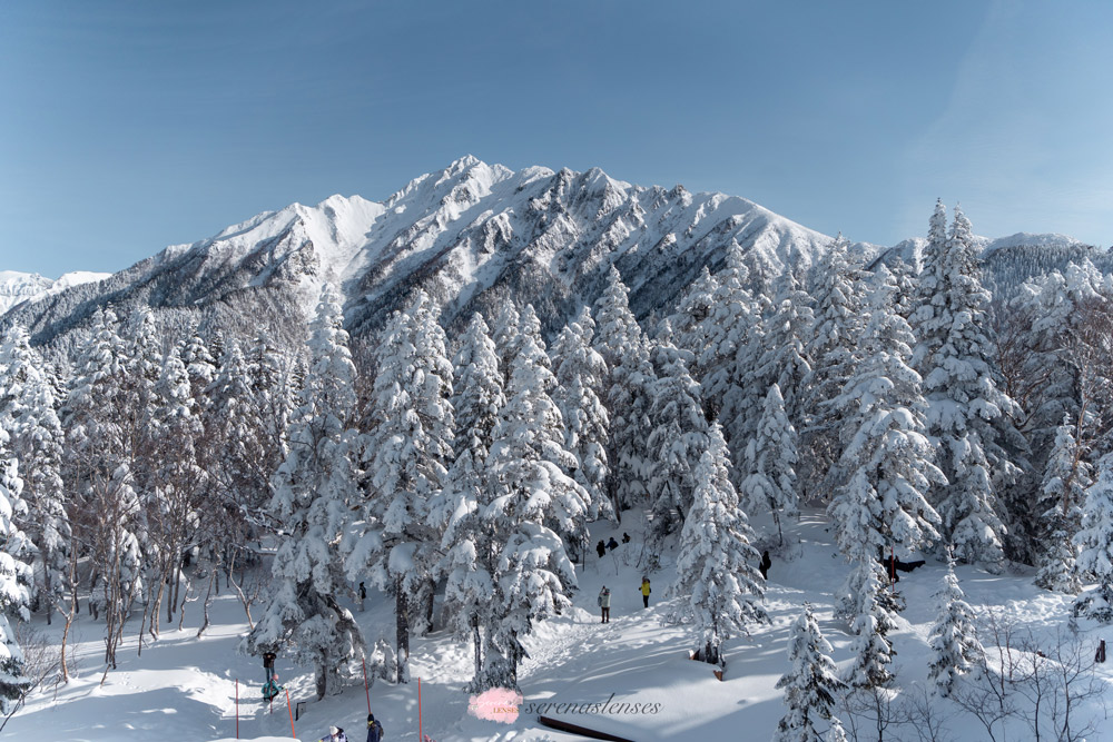 Shinhotaka-Ropeway-walking-path