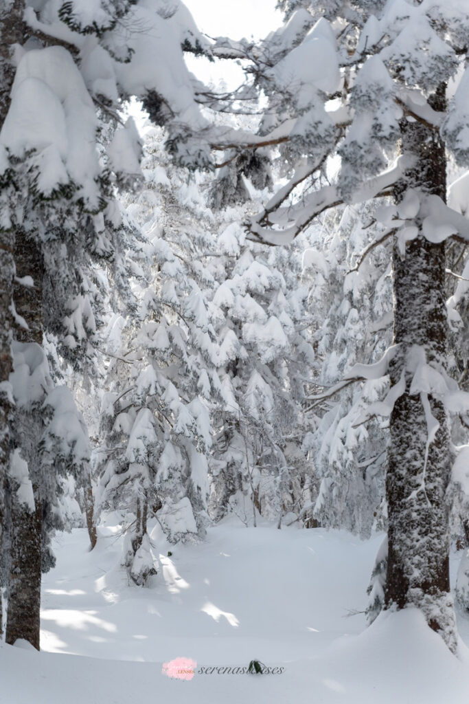 Shinhotaka-Ropeway-winter