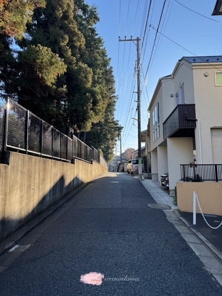 Walk-to-Gotokuji-Temple