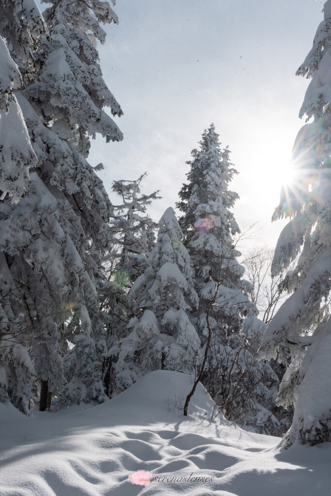 Winter-Shinhotaka-Ropeway